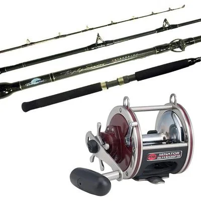 J&B Tackle Wire Line Combo Penn Senator 113H2SP/Tsunami Trophy TSTBC-661HW Trolling Combo