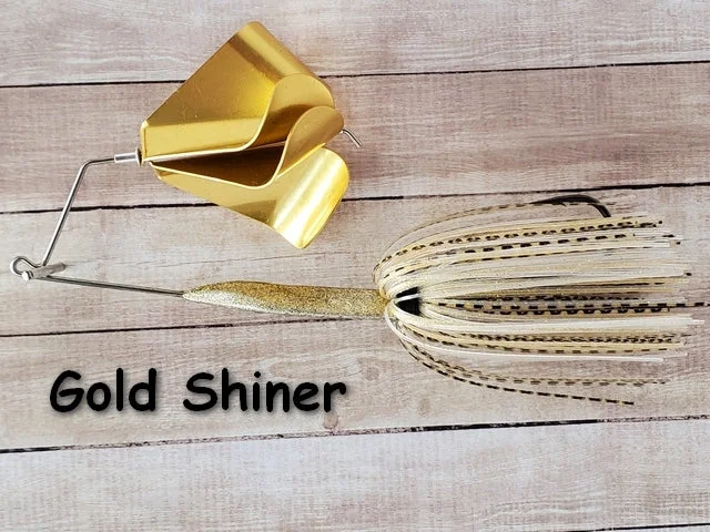 Gold Shiner