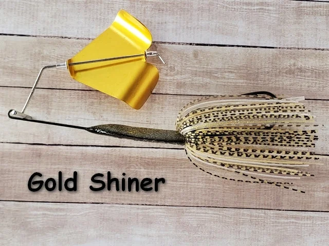 Gold Shiner